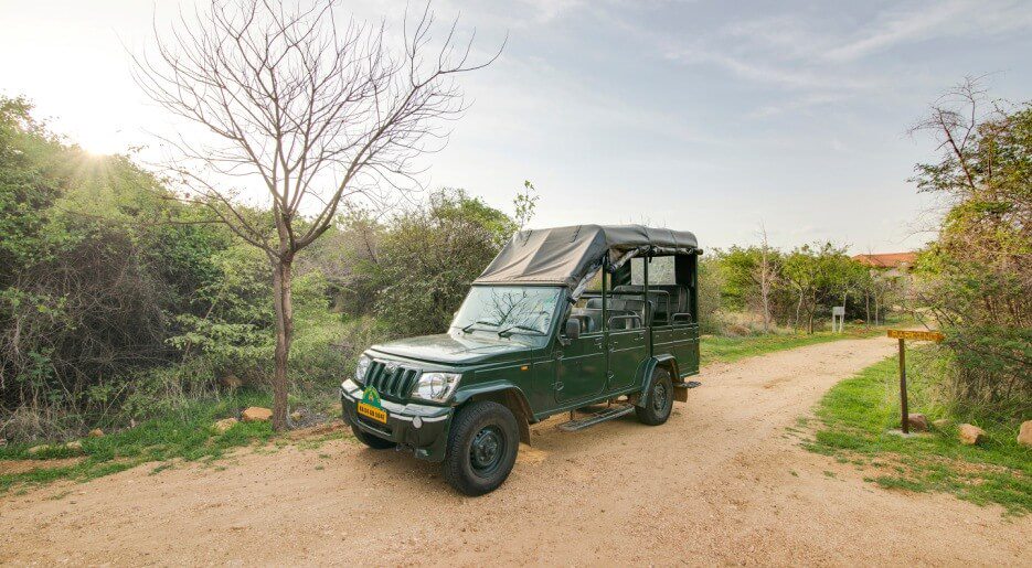 Jeep safari to Daroji Bear Sanctuary
